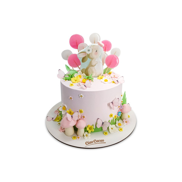 Rabbit and butterfly