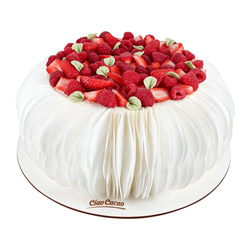 Tort 5
