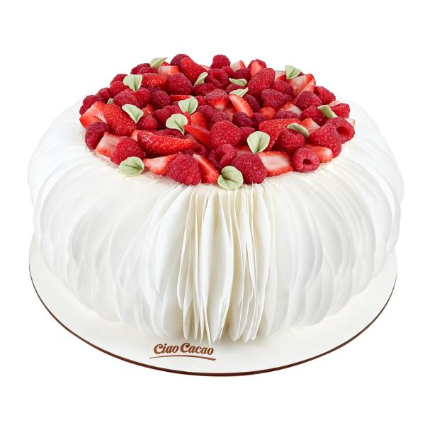 Tort 5